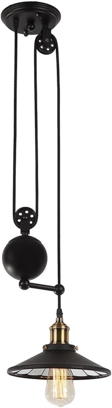 Warehouse of Tiffany CY-DD-173-2 Pendant Black, 8"H x 12"L x 12"W