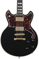 D'Angelico electric guitar Model: Brightonseries: Deluxe Colour: solid black body Material: alderfinish: high gloss Shape: double cutneck