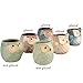 Betrome Owl Pot 2.5 Inch, Ceramic Flowing Glaze Succulent Pots, Owl Planter, Mini Ceramic Pots, Bonsai Owl Pot with a Hole for Small Flower, Plant & Cactus, 6 Pcs