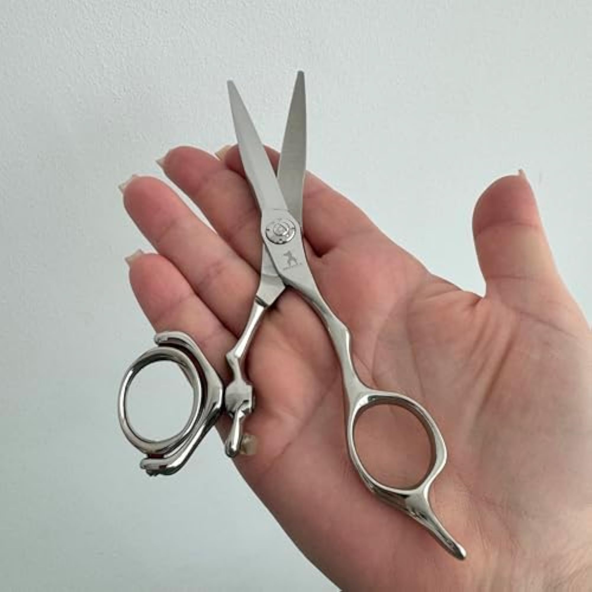 Flex 6.5" Hairdressing Scissors for Precision Cutting