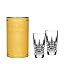 Lismore Diamond Shot Glasses Pair