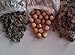 Dry Whole Amla|Reetha|Shikakai|Soapnut|Gooseberry|Acacia Concinna (200gm each)