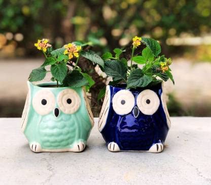 Lyallpur Stores Ceramic Pots for Plant Owl Shape - Small Size (Blue & Green Color, 9 cm) Ceramic Planters for Indoor Plants, Living Room. [Plant Not Included, Pack of 2] (B09MMC4CH2) Amazon Price History, Amazon Price Tracker