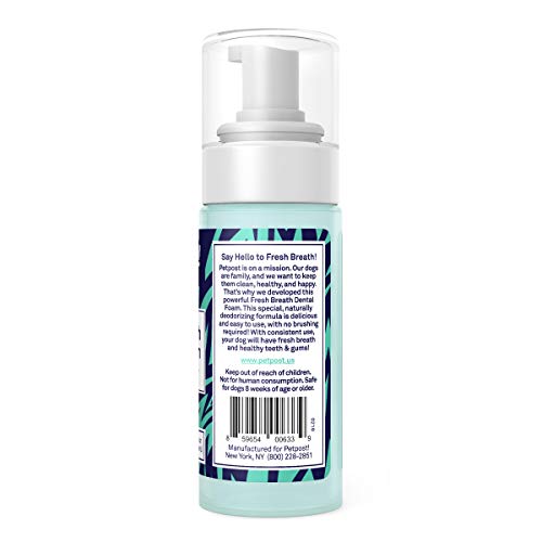 Petpost | Fresh Breath Foam for Dogs - Mint & Apple Flavored Dental Solution That Eliminates Bad Breath - Natural Tooth Cleaning Treatment