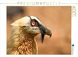 Plus qu'un simple jeu - Les puzzles sont divertissants, favorisent le bien-être tout en stimulant la concentration et la mémoire.