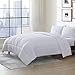 Swift Home All-season Extra Soft Luxurious Classic Light-Warmth Goose Down-Alternative Comforter, Queen 90" x 90", White