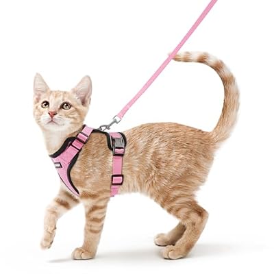 rabbitgoo Cat Harness and Leash Set, Escape Proof Vest, Pink