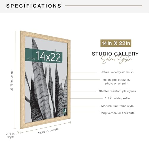 MCS Studio Gallery 14x22 Poster Frame Natural Woodgrain, Vertical & Horizontal Wall Hanging Large Picture Frame for Photos, Posters & Art Prints (1-Pack)