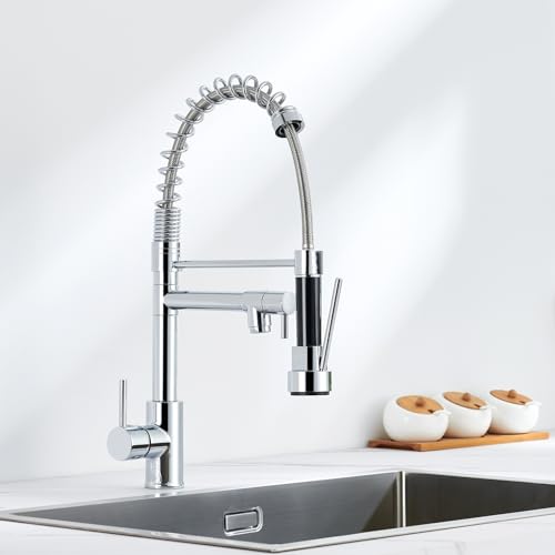 Auralum Wasserhahn Küche Ausziehbar, Küchenarmatur mit Zwei Auslauf & Zwei Strahlarten, 360° drehbar Mischbatterie Küche, Edelstahl Spültischarmatur mit Spiralfeder, Hochdruck...