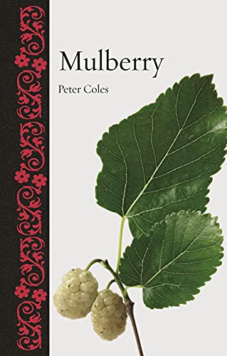 Mulberry (Botanical) view 2