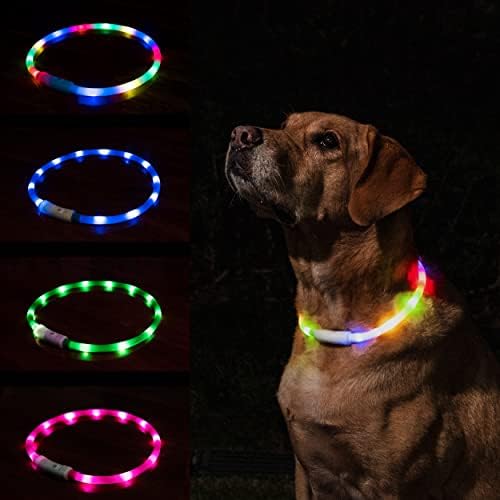 Should I Leave Water For My Puppy At Night