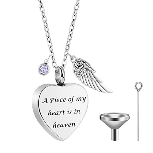 Canghai Rousa - Collar de urna para cenizas, con colgante de corazón de acero inoxidable, con colgante de corazón, joyería para mascotas humanas, Acero inoxidable, circonia azul Cover