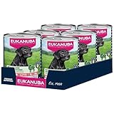 EUKANUBA Life Care Aliment Humide Chien Senior 7 Ans + Toutes Races, Pâtée Riche en Agneau & Pommes de Terre, Oméga-3, L-Carnitine, Prébiotiques, sans OGM Colorants Conservateurs, 6 boîtes de 400g