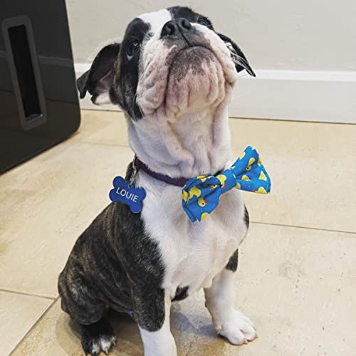 Huxley & Kent Bow Tie For Pets | Lucky Ducky (Extra-Large) | Velcro Bow Tie Collar Attachment | Fun Bow Ties For Dogs & Cats | Cute, Comfortable, And Durable | H&K Bow Tie #TOP6