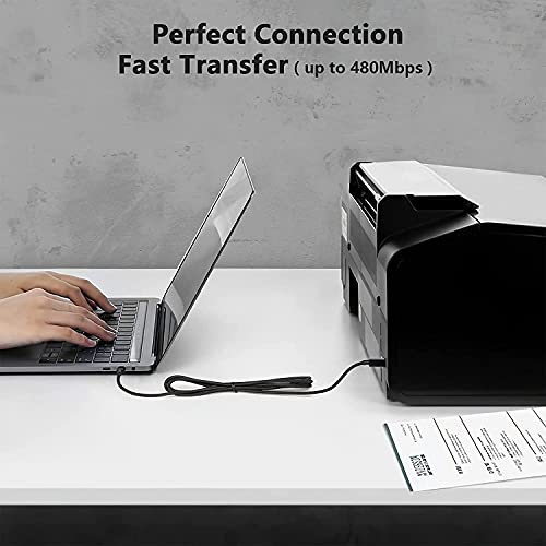 Image of rts Hight Speed USB Type C Printer Cable(2M)Nylon Braided 480Mbps Data Transfer Compatible With Printers Scanners Fax Machine Macbook Pro /Air Epson HP Canon Yamaha Digital Piano,MIDI Keyboard,DJ,Black