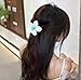 7 Pcs Hawaiian Flower Hair Clips,3.15