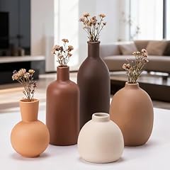 Brown/Reddish Brown/Khaki/Beige/Orange