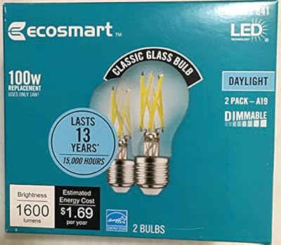 EcoSmart 100-Watt Equivalent A19 Dimmable Clear Filament Vintage Style LED Light Bulb, Daylight (2-Pack)