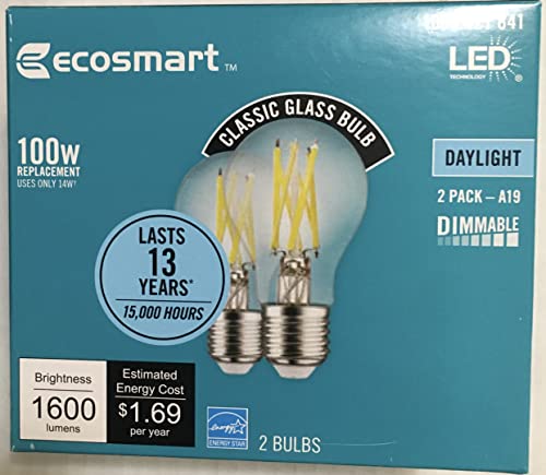 EcoSmart 100-Watt Equivalent A19 Dimmable Clear Filament Vintage Style LED Light Bulb, Daylight (2-Pack)