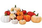 joybest 16Pcs Assorted Mini Velvet Pumpkins Artificial Pumpkins Orange White Pumpkins Thanksgiving...