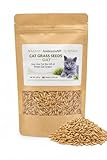 Cat Grass Seeds 150g Oat – Grow Fresh Cat Grass – Natural Cat Grass Seeds – Easy to Grow – Made in UK
