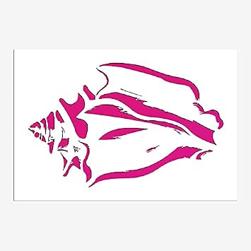 Conch Shell Stencil Reusable Sturdy Flexible Transparent 12 x 18.75 Inches 10mil Mylar Arts and Crafts Material Scrapbooking for Airbrush Painting Drawing