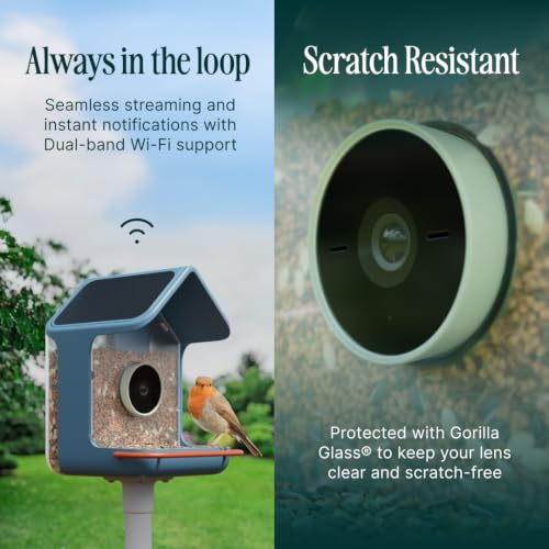 Birdbuddy Home Smart Bird Feeder with Camera, AI Bird ID Dual Solar Panel by Bird Buddy - Used condition - Image 8