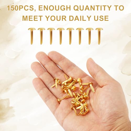 150pcs Paper Fasteners, Mini Brad Round Fastener Paper Clips for Paper Crafts Round Split Pins Scrapbooking Brass Fasteners for Kids Craft Cards Photo Walls (Gold)