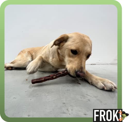 FROKI Premium Rinderschwanz für große & kleine Hunde 250g | 100% Rind | 100% Natürlich | Futter-Snack | Hunde-Leckerlis | Natur-Kausnack | Zahnpflege | ohne Zusatzstoffe