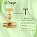 Litorange 2 Pack Heavy Duty Brass Replacement Control Needle Valve 1/4