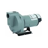 Flint Walling/Star HSPJ20P1 Do It Best Sprinkler Pump, 2Hp