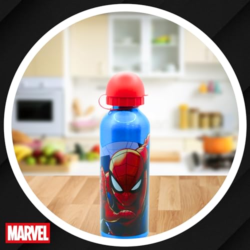 Gourde enfant incassable Spider-Man bouteille aluminium 500ml
