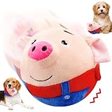 Pipihome
