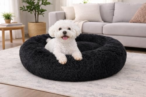Image of ZEXSAZONE Summer The Round Doughnut pet Bed is Perfect for Indoor Dogs Mat Round Foam Pet Bed | Dog Bed | Cat Bed | Puppies Puppy Bed | Puppies Cooling, Summer cat Bed Black