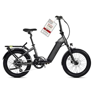 DERUIZ Peridot E-Bike-20 Zoll klapprad Elektrofahrrad, 250W 55N.m Hinterradmotor, 3" Fette Reifen,48V/500Wh Akku,11-32T, 8-Gang,Hydraulische Bremsen,Faltbares Pedelec-143 KM (Schwarz)