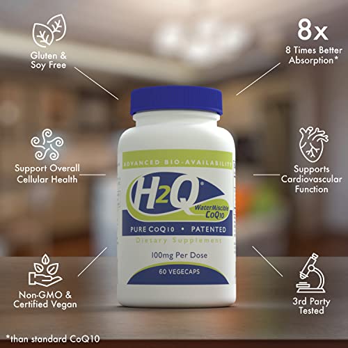 Health Thru Nutrition H2Q Coq-10 With 8X Higher Absorption Over The Standard Q-10 | Clinically Studied | Cardiovascular And Mitochondria Function Support | Vegan Certified | Non-Gmo (Pack Of 60) #TOP2