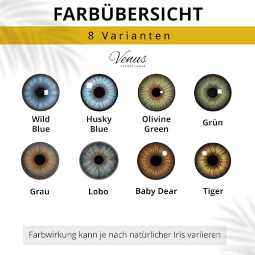 Venus® Grüne Kontaktlinsen Ohne Stärke - 0.00 Dioptrien - Weiche Jahreslinsen Green Contact Lenses für Damen & Brillenträger - 1 Paar - 14.5 mm - Olivine Green
