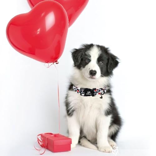 Image of Valentine's Dog Collar, UP URARA PUP Love Heart Adjustable Pet Collar with Bowknot Charm, Daily Dog Accessories for Small Medium Large Dogs