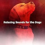 Man's Best Friend Records
