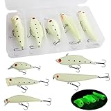 Saltwater Luminous Fishing Lures Night Fishing Bait Kit,5PCS Glow Crank Pencil VIB Minnow Popper Hard Bait with 2 Treble Hooks with Tackle Box