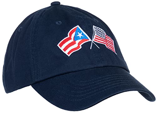 Image of Ann Arbor T-shirt Co. American Friendship Nations Flag Baseball Low Profile Dad Hat for Men Women