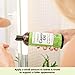 Castor Oil USDA Organic Cold-Pressed (16oz) 100% Pure Hexane-Free Castor Oil - Conditioning & Healing, For Dry Skin, Hair Growth - For Skin, Hair Care, Eyelashes - Caster Oil By Sky Organics