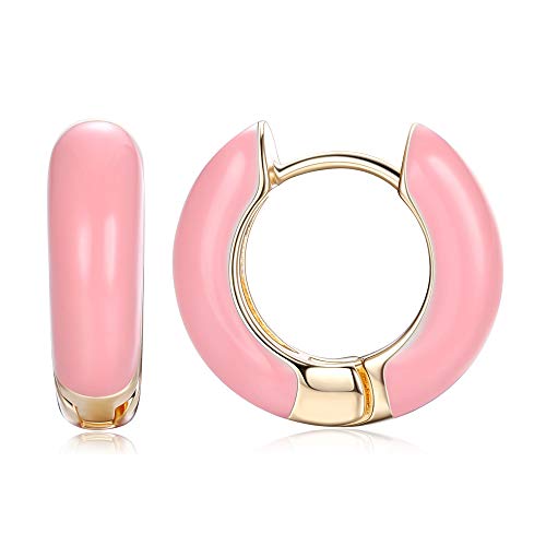 LOLIAS Gold Plated Small Hoop Earrings Colorful Enamel Hinged Huggie Earrings Gift for Women Girls