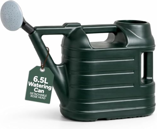 Image of Bowers Bargains Watering Can Outdoor 6.5L with Detachable Rose Head, Plastic, Green
