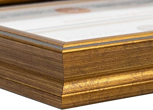 Space Art Deco, 11X19.5 Diploma Frame With Black Over Gold Double Mat For 8.5X11 Documents And One 5X7 Picture, Shatter-Resistant Glass Sawtooth Hangers Wall Mount Display (Ornate Gold Black) #TOP1