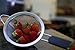 LiveFresh Fine Mesh Strainer with Non Slip Handle. Premium Stainless Steel Strainer for Quinoa, Tea, Soup, Sifting, Baking, Straining - 5-1/2 Inch
