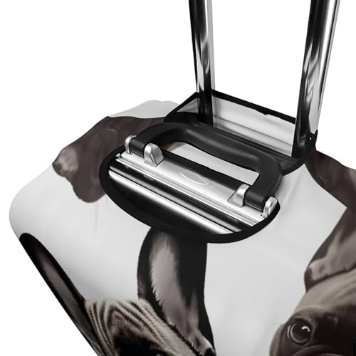 Housse valise bouledogue français contre les rayures de soute taille M