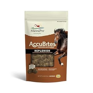 Manna Pro AccuBites Replenish Equine Supplement – Hydration & Immune Support Supplement for Horses – Contains Vitamin E & Turmeric – Turmeric & Molasses Flavored – 1.6 lbs