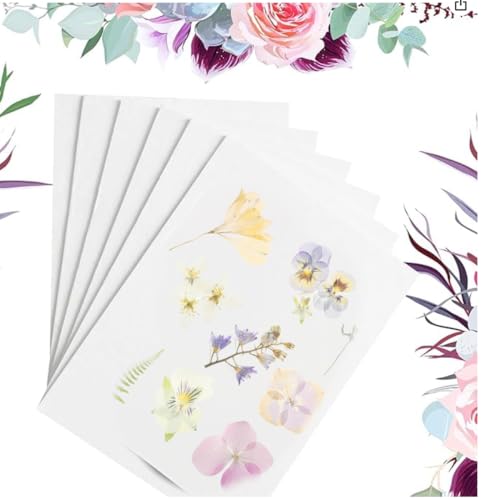 Suziko Flower Pressing Accessories,Blotting Paper for Flower Press,Drying Plates Replacement Dried Flower Leaf Plant Fruit Pressing Replacements for DIY Art Handicrafts Specimens (10.8" x 6.9")