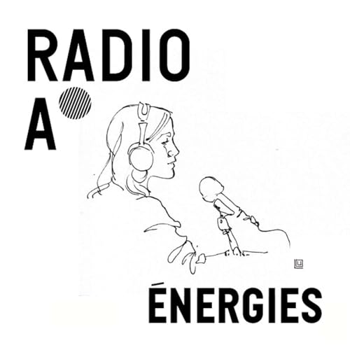 Page de couverture de Les dessous de la transition &eacute;nerg&eacute;tique